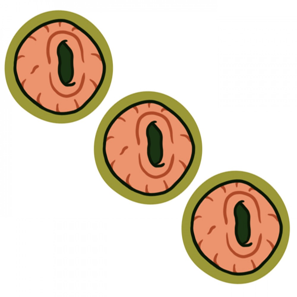 Eyeholes stickers - Rick and Morty fan art